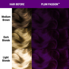 Before and after comparison chart showing hair color transformation using MANIC PANIC shade  Plum Passion