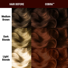 Before and after hair color chart showing Cobra hair dye results on medium brown, dark blonde, and light blonde hair.
