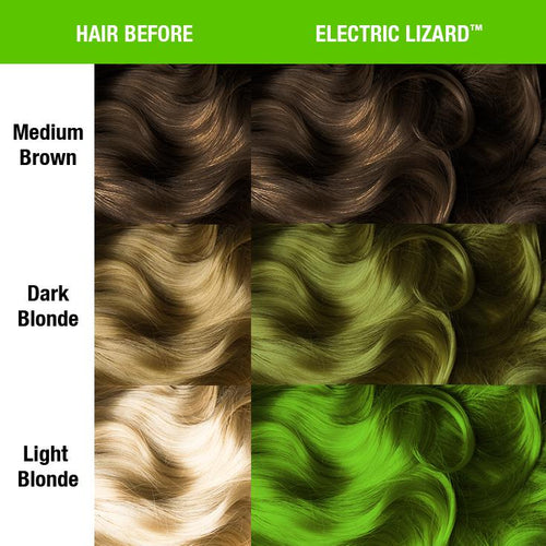 Electric Lizard® - Classic High Voltage®- 8oz